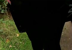 دختر روسیه متقاعد به لگد کردن دانلود فیلم سینمایی پورن با لینک مستقیم بیدمشک او
